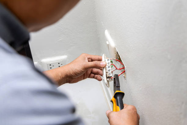 Best Electric Panel Repair  in Oak Point, TX
